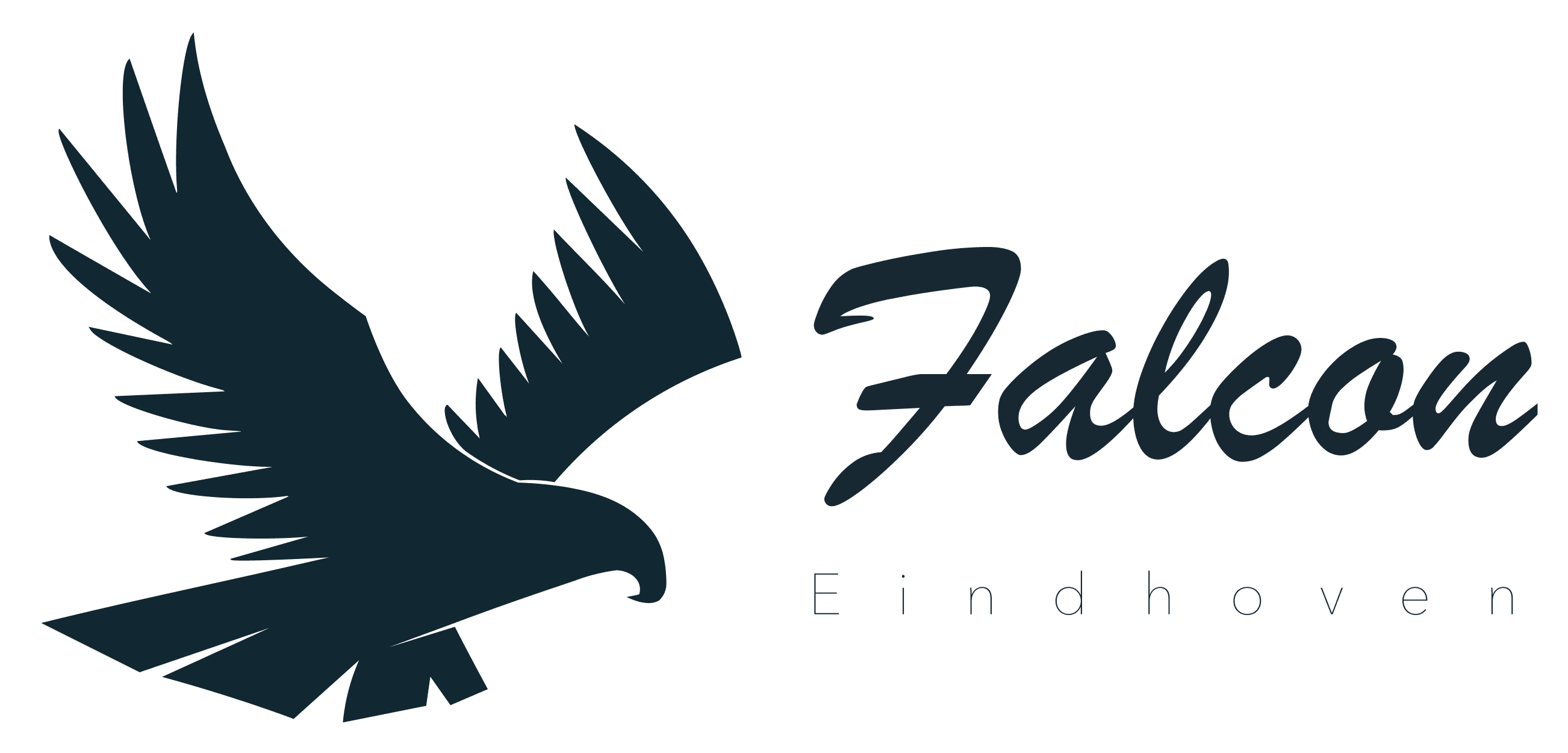 Falcon Electric Aviation logo